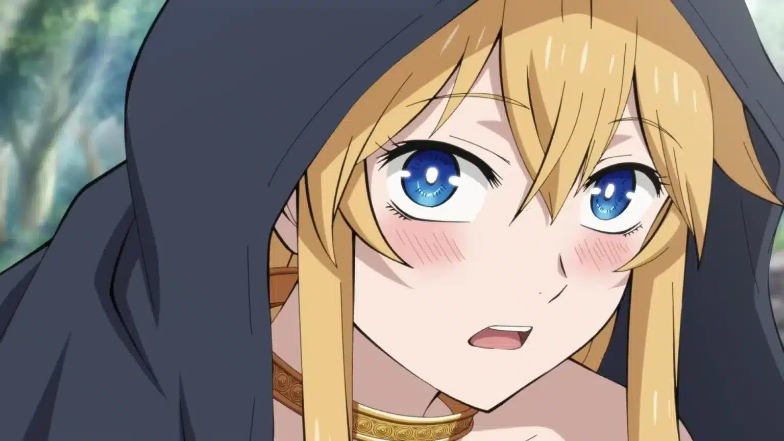 Himekishi wa Barbaroi no Yome 